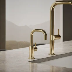 Beverage faucet^Kohler Hot