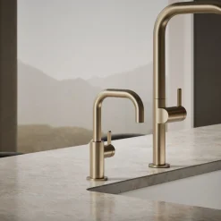 Beverage faucet^Kohler Hot