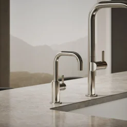 Beverage faucet^Kohler Hot