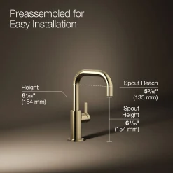 Beverage faucet^Kohler Hot