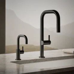 Beverage faucet^Kohler Hot