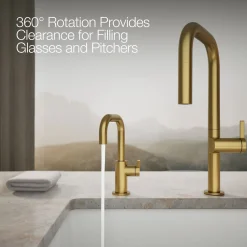 Beverage faucet^Kohler Hot