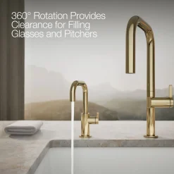 Beverage faucet^Kohler Hot