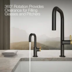 Beverage faucet^Kohler Hot