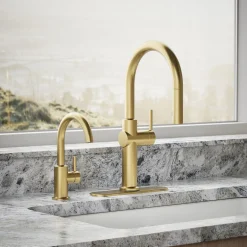 Beverage faucet^Kohler Best