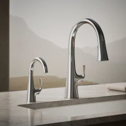 Beverage faucet^Kohler New