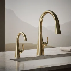 Beverage faucet^Kohler New