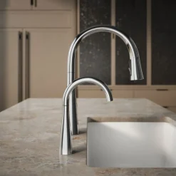 Beverage faucet^Kohler New