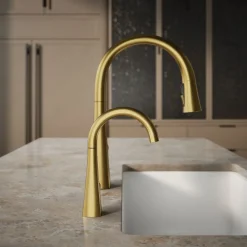 Beverage faucet^Kohler New