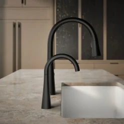 Beverage faucet^Kohler New