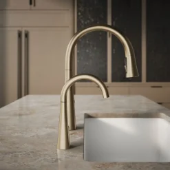 Beverage faucet^Kohler New