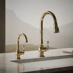 Beverage faucet^Kohler Outlet