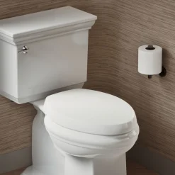 Deodorizing elongated toilet seat^Kohler Outlet
