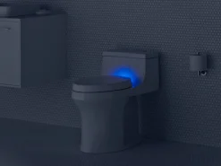 Deodorizing elongated toilet seat^Kohler Outlet