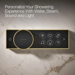 Digital control^Kohler Best