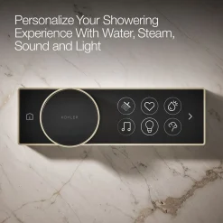 Digital control^Kohler Best