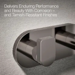 Double robe hook^Kohler Clearance