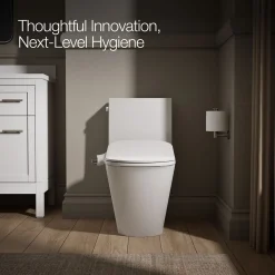 D-shaped manual bidet toilet seat^Kohler Outlet