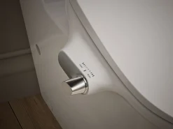 D-shaped manual bidet toilet seat^Kohler Outlet