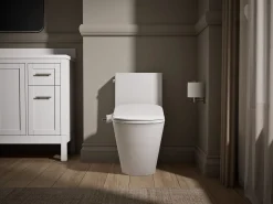 D-shaped manual bidet toilet seat^Kohler Outlet
