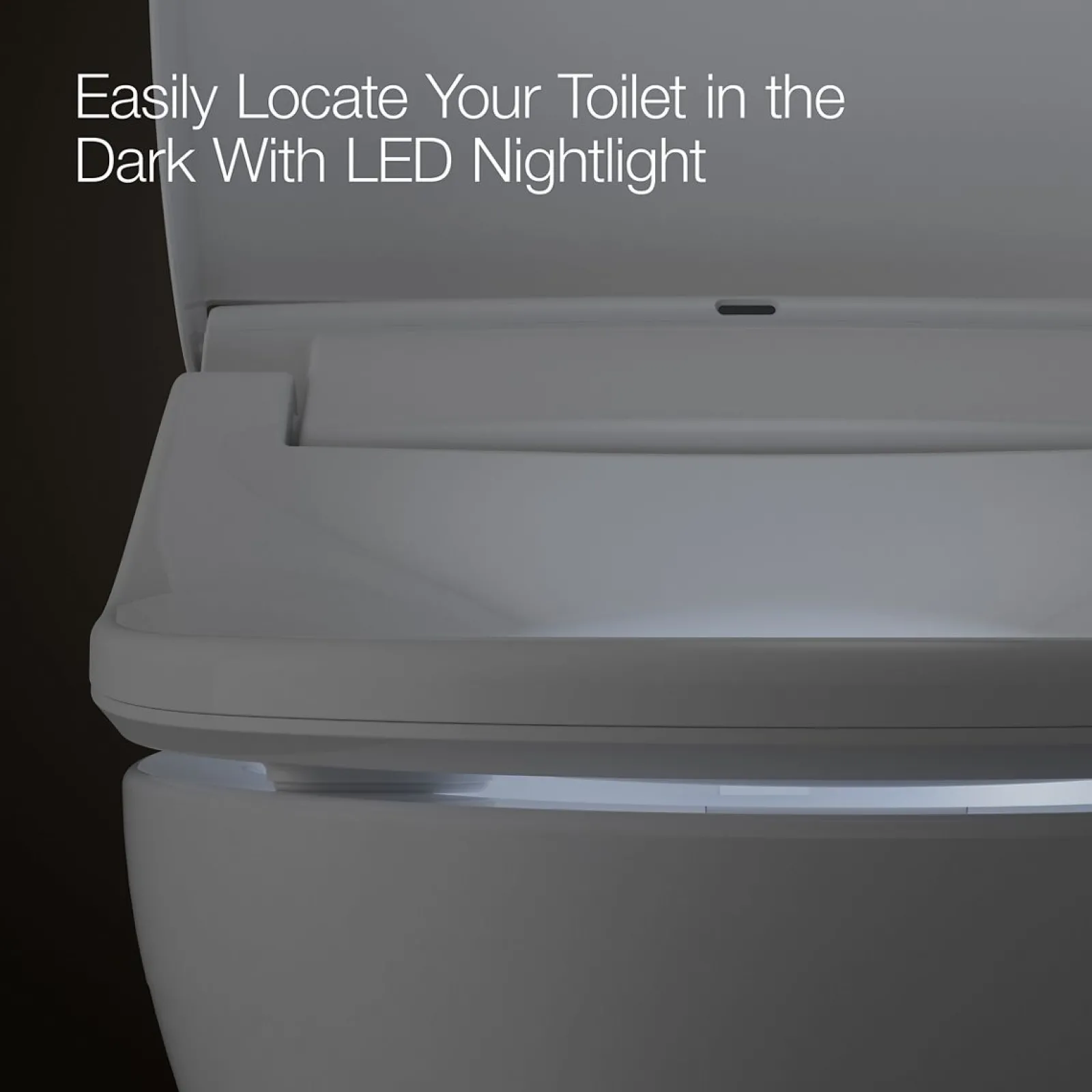Dual-Wand Elongated bidet toilet seat with remote control^Kohler