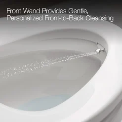 Dual-Wand Elongated bidet toilet seat with remote control^Kohler