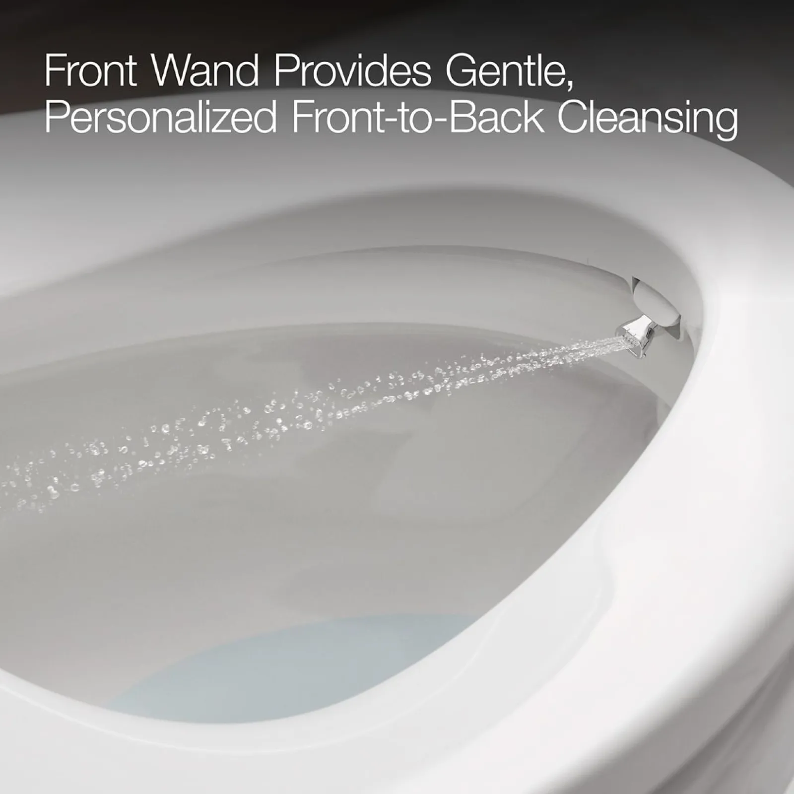 Dual-Wand Elongated bidet toilet seat with remote control^Kohler