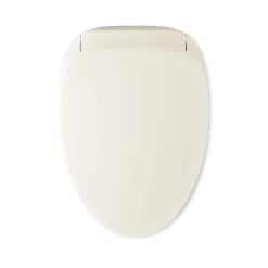 Dual-Wand Elongated bidet toilet seat with remote control^Kohler