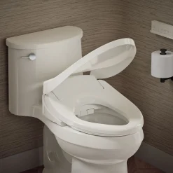 Dual-Wand Elongated bidet toilet seat with remote control^Kohler