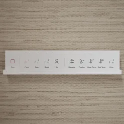 Dual-Wand Elongated bidet toilet seat with remote control^Kohler