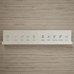 Dual-Wand Elongated bidet toilet seat with remote control^Kohler