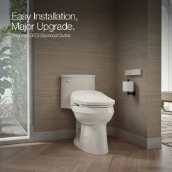 Dual-Wand Elongated bidet toilet seat with remote control^Kohler
