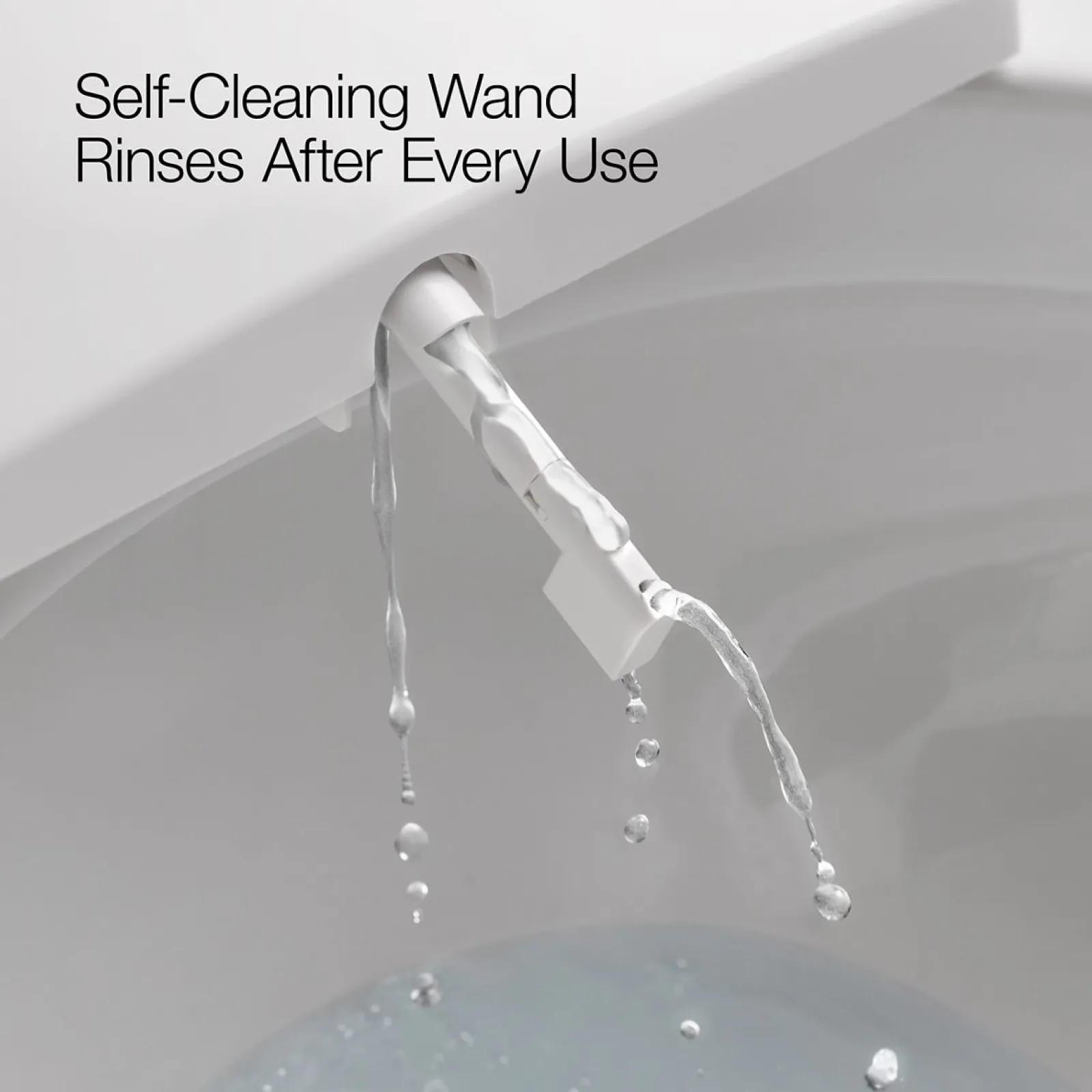Dual-Wand Elongated bidet toilet seat with remote control^Kohler