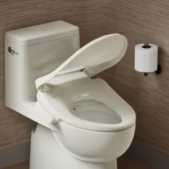 Elongated bidet toilet seat^Kohler New