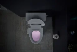 Elongated bidet toilet seat^Kohler New