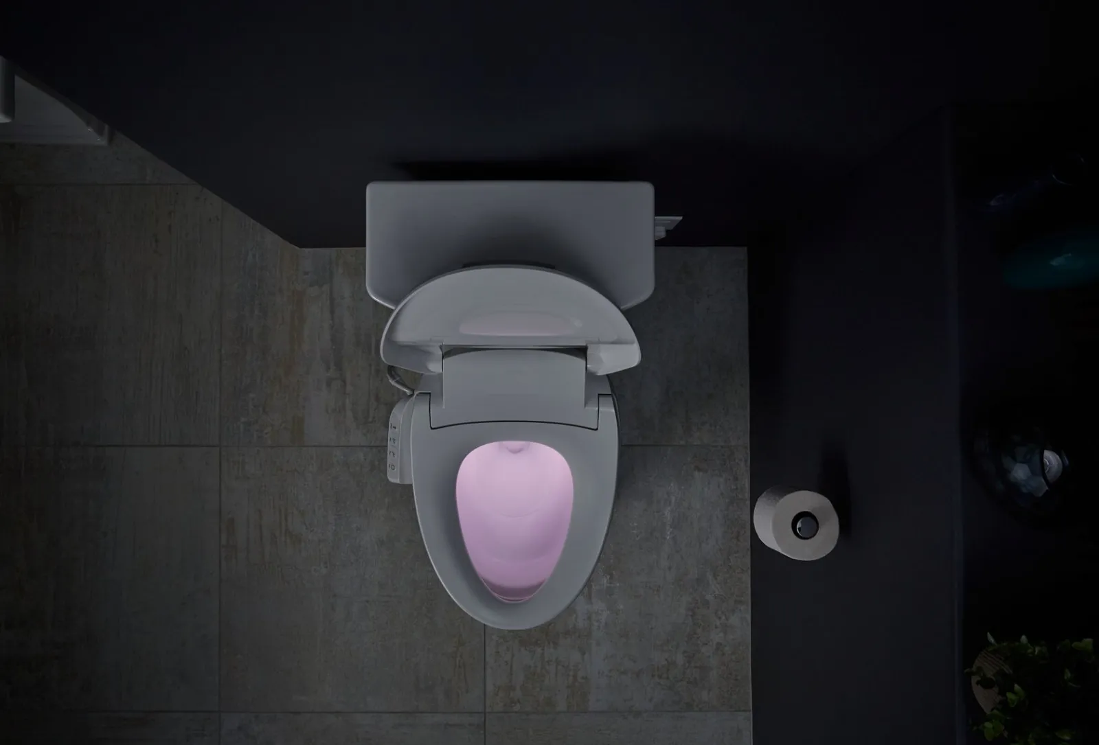 Elongated bidet toilet seat^Kohler New