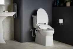 Elongated bidet toilet seat^Kohler New