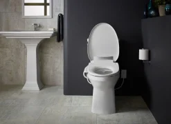 Elongated bidet toilet seat^Kohler New