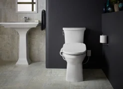 Elongated bidet toilet seat^Kohler New