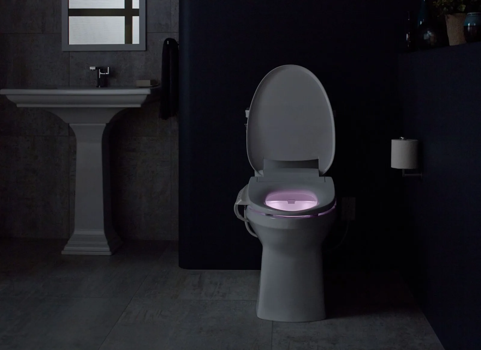 Elongated bidet toilet seat^Kohler New