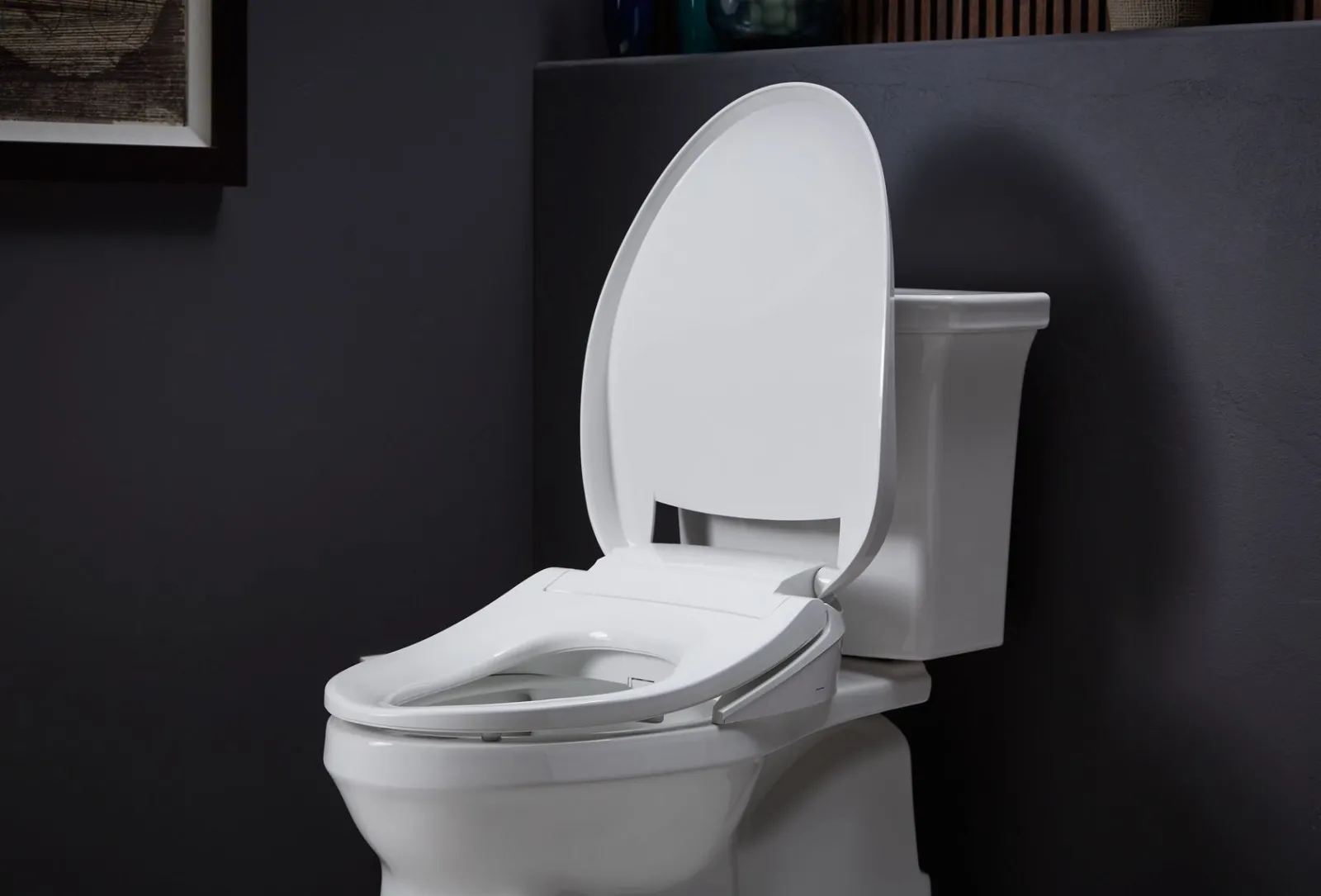 Elongated bidet toilet seat^Kohler New