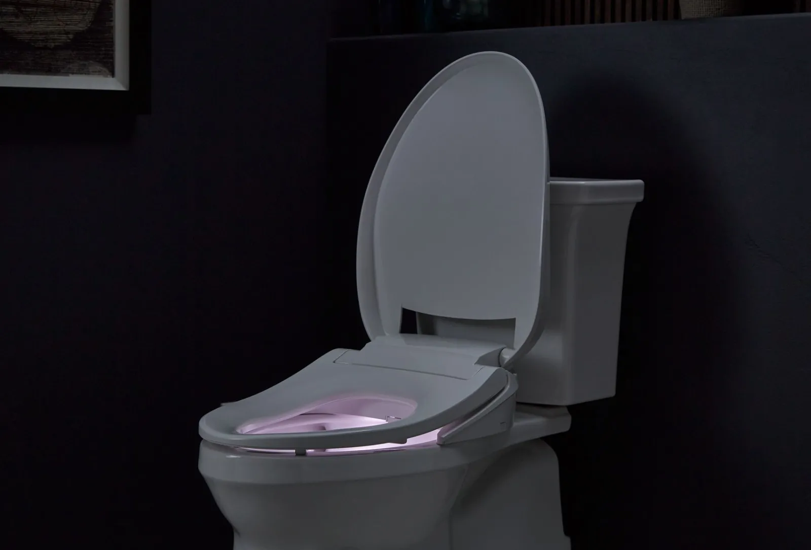 Elongated bidet toilet seat^Kohler New