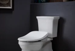 Elongated bidet toilet seat^Kohler New