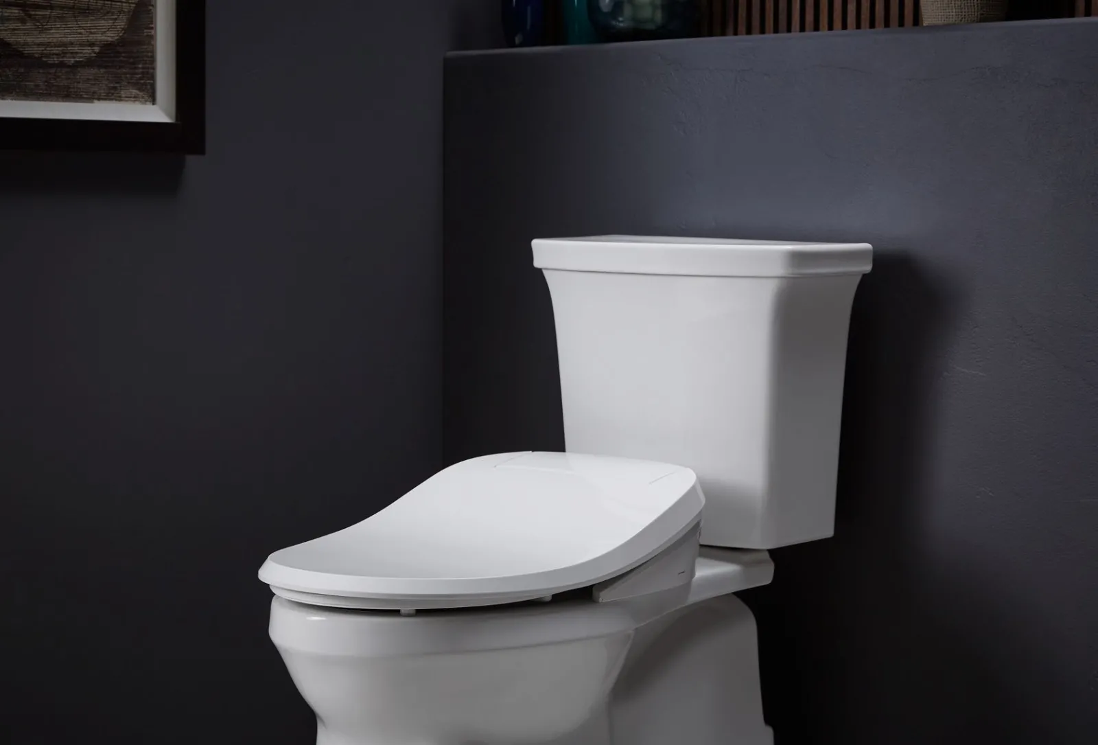Elongated bidet toilet seat^Kohler New