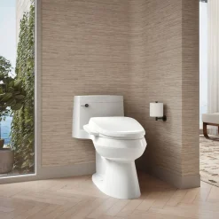 Elongated bidet toilet seat^Kohler Sale