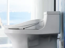 Elongated bidet toilet seat^Kohler Sale