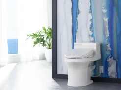 Elongated bidet toilet seat^Kohler Sale