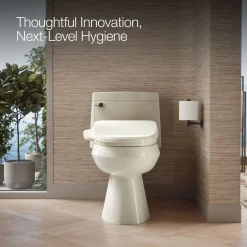 Elongated bidet toilet seat^Kohler Sale