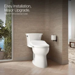 Elongated bidet toilet seat^Kohler Clearance