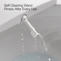 Elongated bidet toilet seat^Kohler Clearance